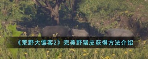 荒野大镖客2兑换什么