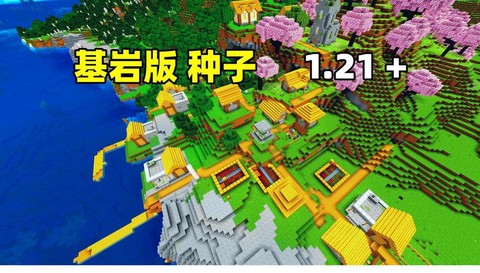 我的世界什么种子好玩