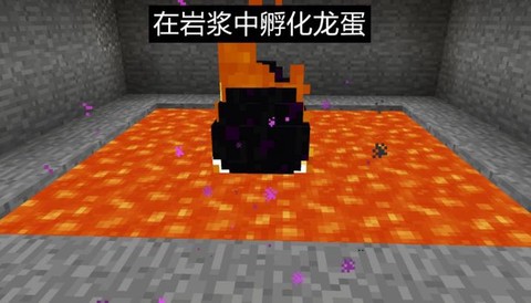 我的世界骨龙怎么孵化[图2]