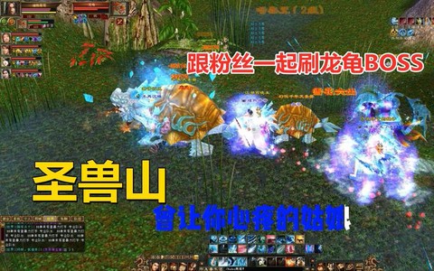 天龙八部龙龟怎么获得