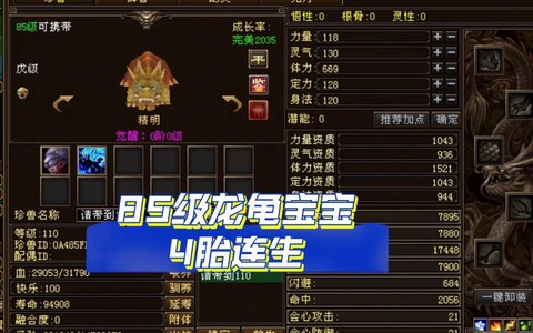 天龙八部龙龟怎么获得[图1]