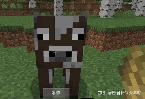 我的世界怎么喂动物吃东西