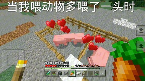 我的世界怎么喂动物吃东西[图1]