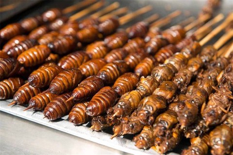 九阴真经什么食物值钱