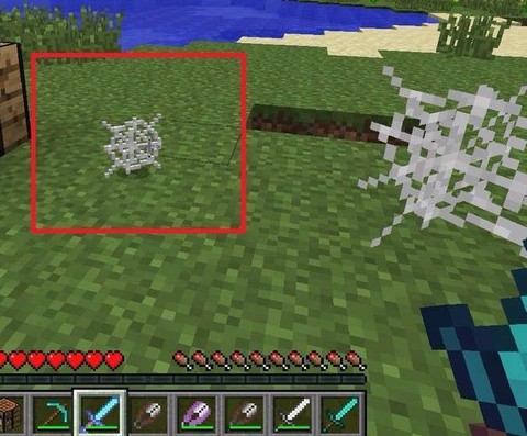 我的世界蛛丝怎么得[图2]