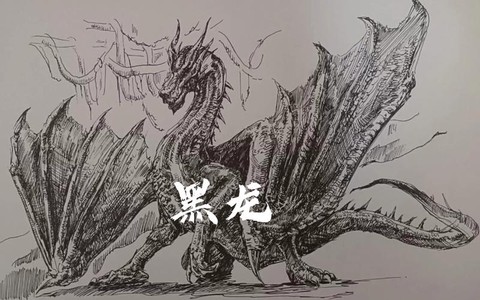 怪物猎人4黑龙怎么出[图2]