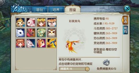 诛仙手游宠物怎么升级