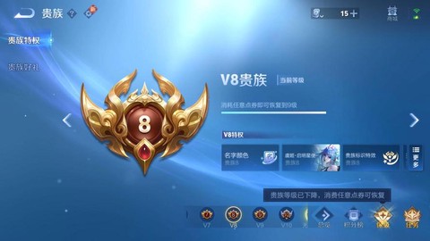 王者荣耀如何隐藏贵族