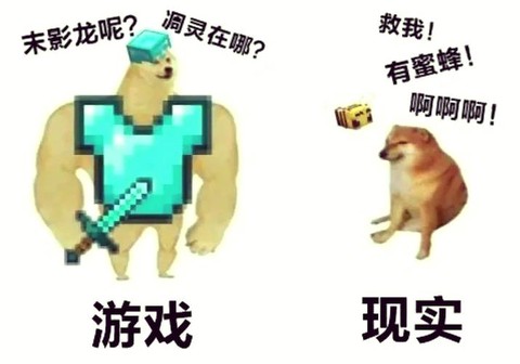 我的世界怎么让雷劈猪[图2]